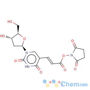 CAS No:869355-24-8 (E)-5-(2-Carboxyvinyl)-2'-deoxyuridine N-Hydroxysuccimide Ester
