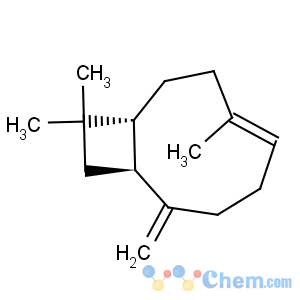 CAS No:87-44-5 Caryophyllene