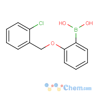 CAS No:870777-21-2 [2-[(2-chlorophenyl)methoxy]phenyl]boronic acid
