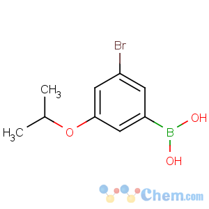 CAS No:871125-81-4 (3-bromo-5-propan-2-yloxyphenyl)boronic acid