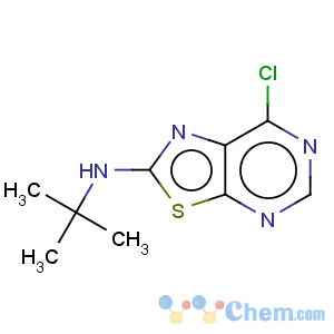 CAS No:871266-85-2 Thiazolo[5,4-d]pyrimidin-2-amine,7-chloro-N-(1,1-dimethylethyl)-