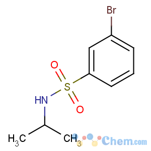 CAS No:871269-08-8 3-bromo-N-propan-2-ylbenzenesulfonamide