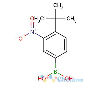 CAS No:871329-54-3 (4-tert-butyl-3-nitrophenyl)boronic acid