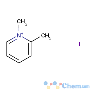 CAS No:872-73-1 1,2-dimethylpyridin-1-ium