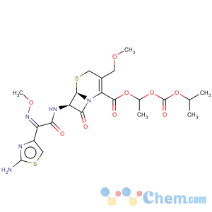 CAS No:87239-81-4 Cefpodoxime proxetil