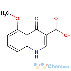 CAS No:873054-97-8 5-methoxy-4-oxo-1H-quinoline-3-carboxylic acid