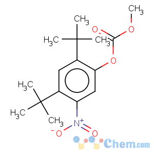CAS No:873055-55-1 Carbonicacid, 2,4-bis(1,1-dimethylethyl)-5-nitrophenyl methyl ester