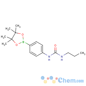 CAS No:874291-01-7 1-propyl-3-[4-(4,4,5,5-tetramethyl-1,3,2-dioxaborolan-2-yl)phenyl]urea