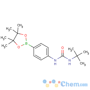 CAS No:874297-78-6 1-tert-butyl-3-[4-(4,4,5,5-tetramethyl-1,3,<br />2-dioxaborolan-2-yl)phenyl]urea