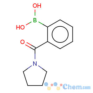 CAS No:874459-80-0 Boronic acid,B-[2-(1-pyrrolidinylcarbonyl)phenyl]-