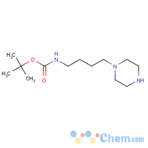 CAS No:874831-61-5 Carbamic acid,[4-(1-piperazinyl)butyl]-, 1,1-dimethylethyl ester (9CI)