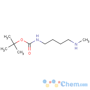 CAS No:874831-66-0 tert-butyl N-[4-(methylamino)butyl]carbamate