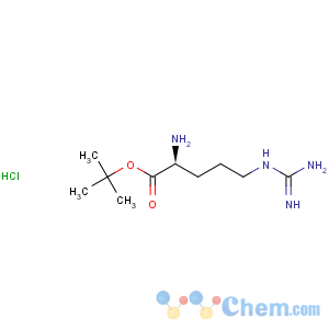 CAS No:87553-73-9 H-Arg-OtBu