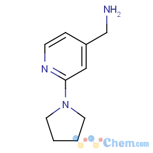 CAS No:876316-38-0 (2-pyrrolidin-1-ylpyridin-4-yl)methanamine