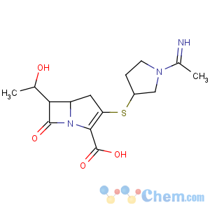 CAS No:87726-17-8 (5R,<br />6S)-3-[(3S)-1-ethanimidoylpyrrolidin-3-yl]sulfanyl-6-[(1R)-1-<br />hydroxyethyl]-7-oxo-1-azabicyclo[3.2.0]hept-2-ene-2-carboxylic acid