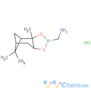 CAS No:877314-87-9 4,6-Methano-1,3,2-benzodioxaborole-2-methanamine,hexahydro-3a,5,5-trimethyl-, hydrochloride (1:1), (3aS,4S,6S,7aR)-