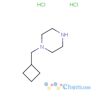 CAS No:877859-57-9 Piperazine,1-(cyclobutylmethyl)-, hydrochloride (1:2)