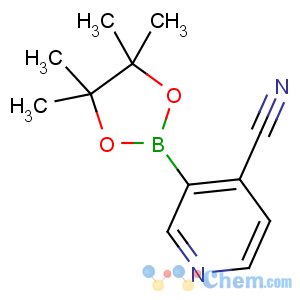 CAS No:878194-91-3 3-(4,4,5,5-tetramethyl-1,3,2-dioxaborolan-2-yl)pyridine-4-carbonitrile