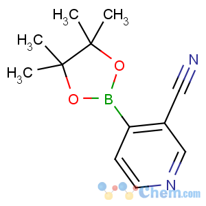 CAS No:878194-92-4 4-(4,4,5,5-tetramethyl-1,3,2-dioxaborolan-2-yl)pyridine-3-carbonitrile