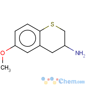 CAS No:878807-47-7 2H-1-Benzothiopyran-3-amine,3,4-dihydro-6-methoxy-