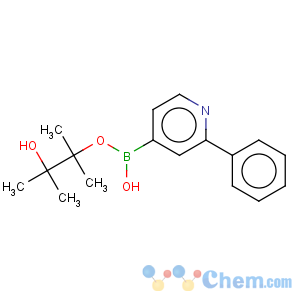 CAS No:879291-26-6 2-phenylpyridine-4-boronic acid pinacol ester