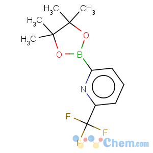 CAS No:881402-16-0 Pyridine,2-(4,4,5,5-tetramethyl-1,3,2-dioxaborolan-2-yl)-6-(trifluoromethyl)-