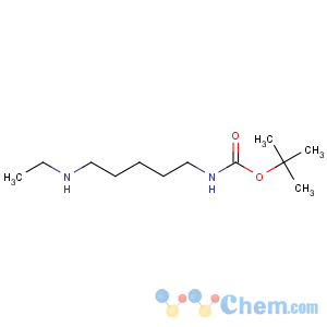 CAS No:883555-11-1 Carbamicacid, N-[5-(ethylamino)pentyl]-, 1,1-dimethylethyl ester