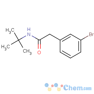 CAS No:883801-90-9 2-(3-bromophenyl)-N-tert-butylacetamide