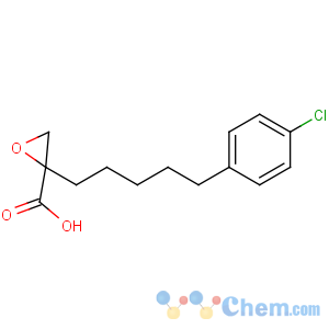 CAS No:88431-47-4 2-[5-(4-chlorophenyl)pentyl]oxirane-2-carboxylic acid