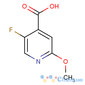 CAS No:884495-30-1 5-fluoro-2-methoxypyridine-4-carboxylic acid
