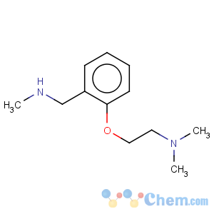 CAS No:884507-33-9 Benzenemethanamine,2-[2-(dimethylamino)ethoxy]-N-methyl-