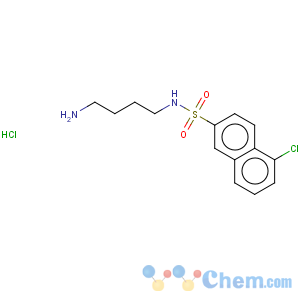 CAS No:88519-57-7 2-Naphthalenesulfonamide,N-(4-aminobutyl)-5-chloro-, hydrochloride (1:1)