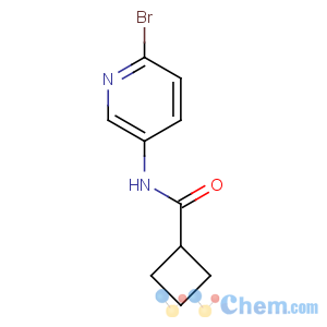 CAS No:885267-03-8 N-(6-bromopyridin-3-yl)cyclobutanecarboxamide