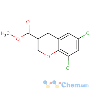 CAS No:885271-50-1 methyl 6,8-dichloro-3,4-dihydro-2H-chromene-3-carboxylate