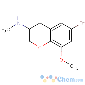 CAS No:885271-56-7 6-bromo-8-methoxy-N-methyl-3,4-dihydro-2H-chromen-3-amine