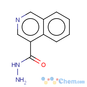 CAS No:885272-60-6 4-Isoquinolinecarboxylicacid, hydrazide