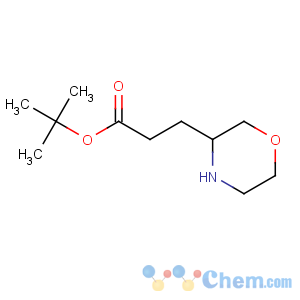 CAS No:885274-03-3 3-Morpholinepropanoicacid, 1,1-dimethylethyl ester