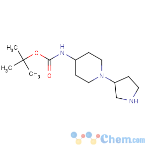 CAS No:885274-91-9 Carbamic acid,[1-(3-pyrrolidinyl)-4-piperidinyl]-, 1,1-dimethylethyl ester (9CI)
