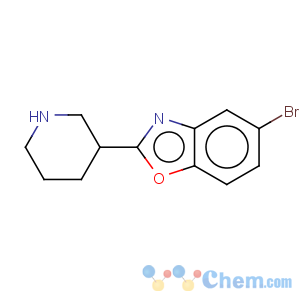 CAS No:885275-09-2 Benzoxazole,5-bromo-2-(3-piperidinyl)-