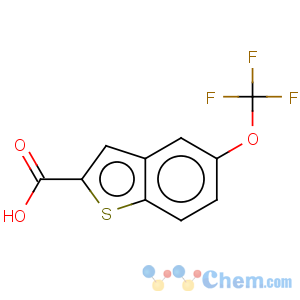 CAS No:885279-13-0 Benzo[b]thiophene-2-carboxylicacid, 5-(trifluoromethoxy)-