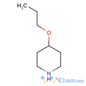 CAS No:88536-11-2 4-propoxypiperidine