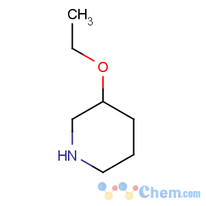 CAS No:88536-17-8 3-ethoxypiperidine