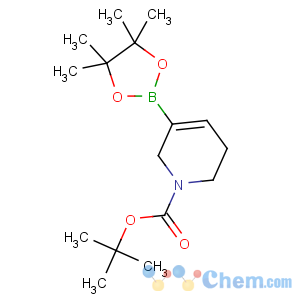 CAS No:885693-20-9 tert-butyl<br />5-(4,4,5,5-tetramethyl-1,3,2-dioxaborolan-2-yl)-3,<br />6-dihydro-2H-pyridine-1-carboxylate