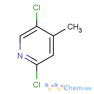 CAS No:886365-00-0 2,5-dichloro-4-methylpyridine