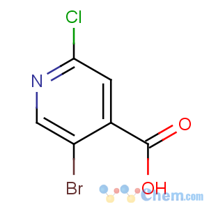 CAS No:886365-31-7 5-bromo-2-chloropyridine-4-carboxylic acid