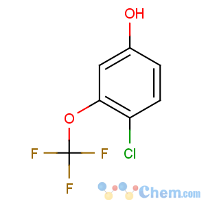 CAS No:886500-85-2 4-chloro-3-(trifluoromethoxy)phenol