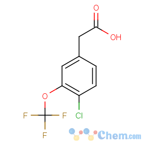 CAS No:886501-02-6 2-[4-chloro-3-(trifluoromethoxy)phenyl]acetic acid