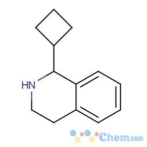 CAS No:886759-47-3 1-cyclobutyl-1,2,3,4-tetrahydroisoquinoline