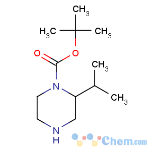 CAS No:886766-25-2 tert-butyl 2-propan-2-ylpiperazine-1-carboxylate