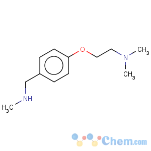 CAS No:886851-38-3 Benzenemethanamine,4-[2-(dimethylamino)ethoxy]-N-methyl-